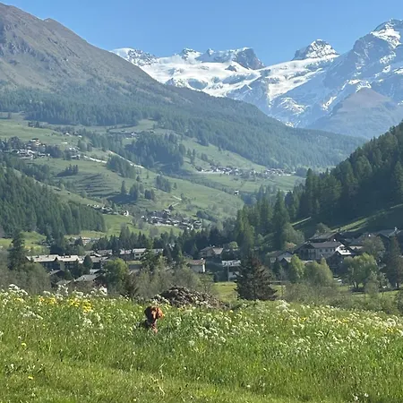 Attico A A 3 Minuti Dagli Impianti Con Vista Monte Rosa * Champoluc